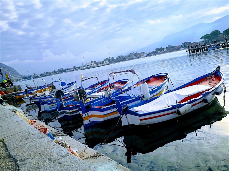 Pesca Siciliana, incontro con l'assessore Sammartino